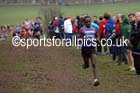 Senior mens Inter Counties Cross Country, Prestwold Hall, Loughborough. Photo: David T. Hewitson/Sports for All Pics